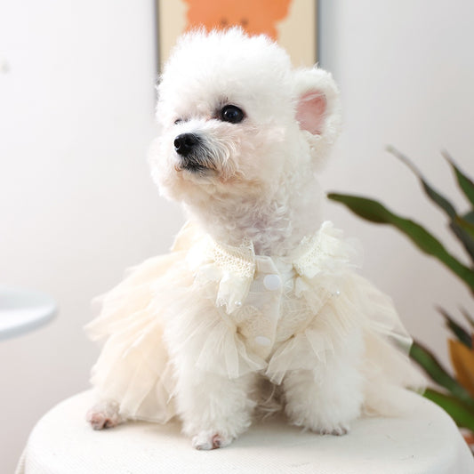 Ivory Lace Dog Tutu Dress with Satin Bow & Rhinestone